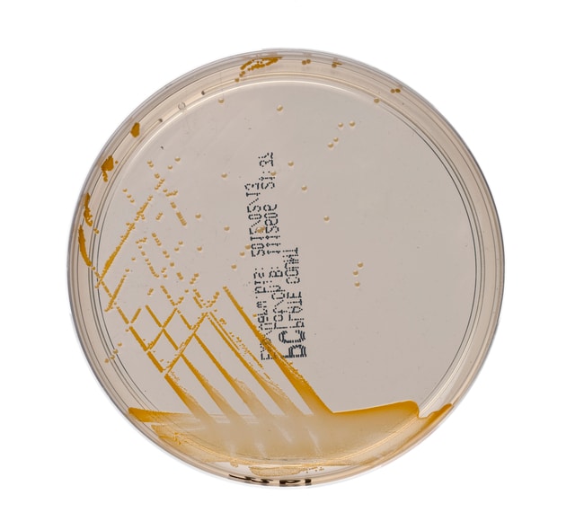 Thermo Scientific Agar fu¨r Za¨hlplatten